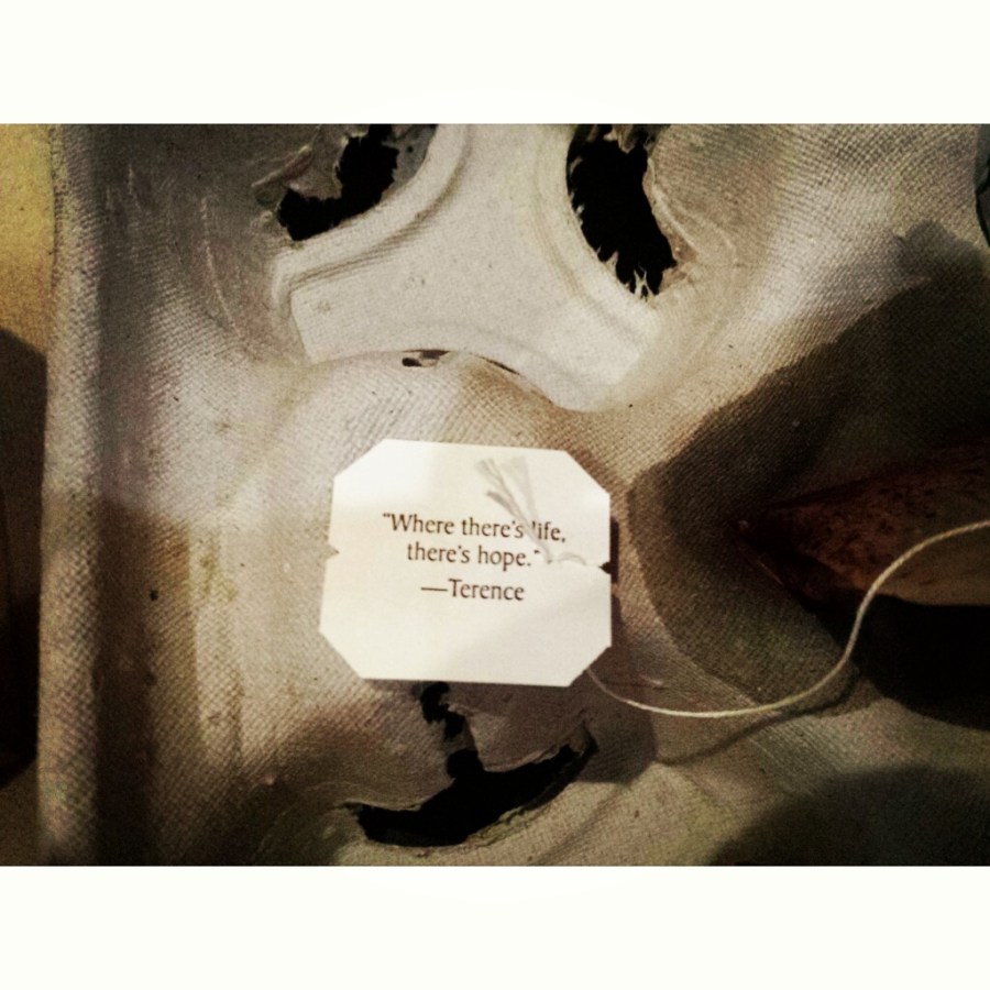 Não tenho tido&nbsp;cabeça