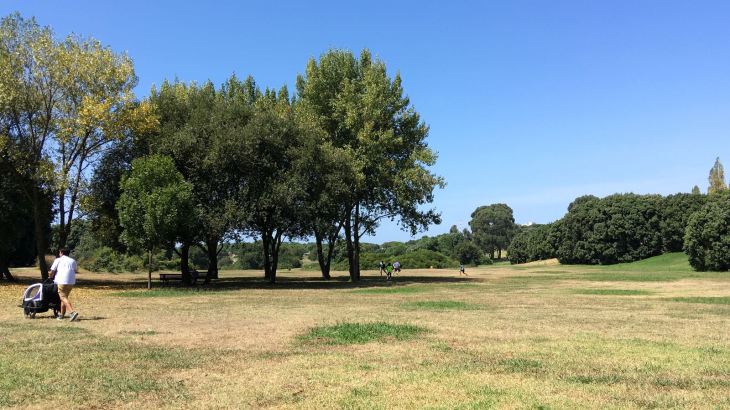 WhatsApp Image 2018-08-25 at 13.27.58