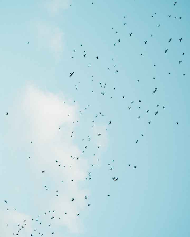 Umas férias curtas 🏝️ (onde estiveste,&nbsp;sol?)